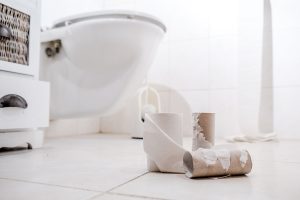 Melbourne plumber clogged toilet
