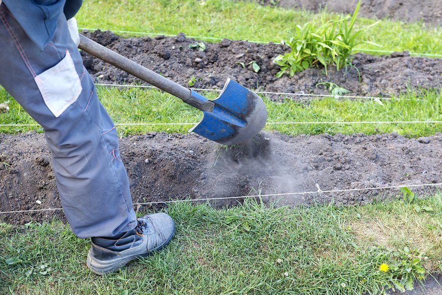 gardener with shovel handles flower bed in the garden, working in the garden? gardener working in garden